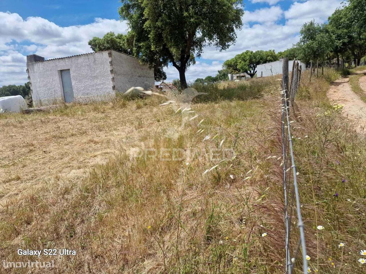 Terreno. Rustico, no  Torrão do Alentejo - Grande imagem: 3/24