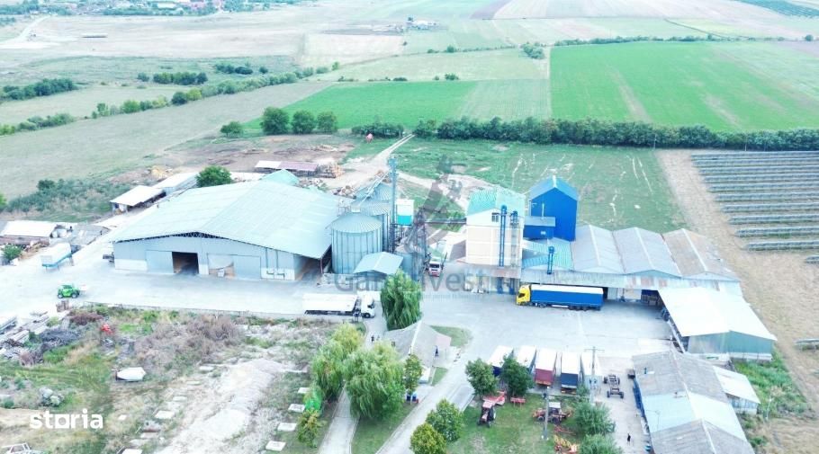 Fabrică de Morărit - de vânzare în Județul Bihor, România - V3234