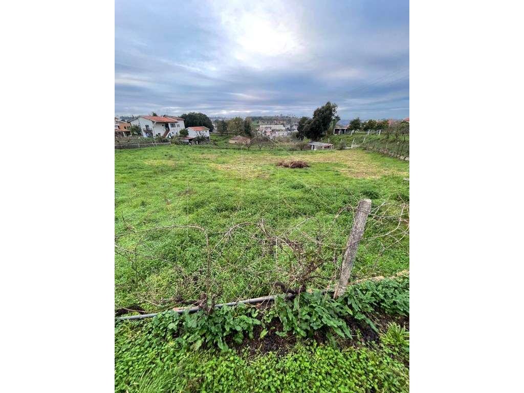 Terreno urbano na Borralha - Grande imagem: 5/6