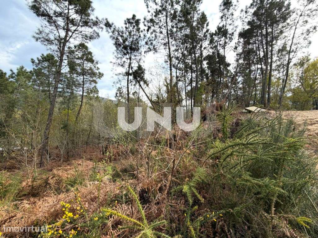 Terreno Rústico - Envolvente de Natureza-17