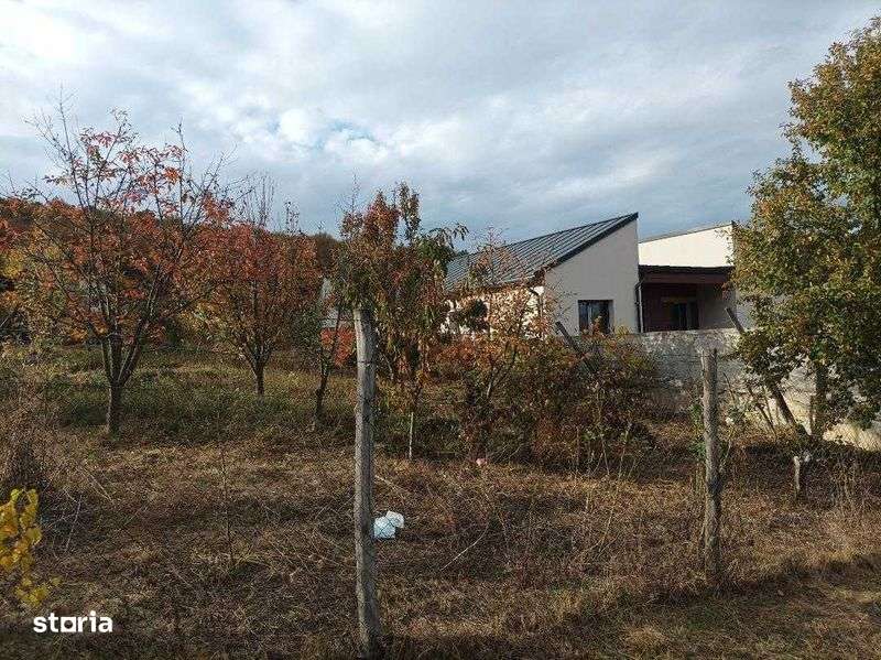 Teren de vanzare pe Dealul Jelnei 20 ari (10+10) - Imagine principală: 5/8