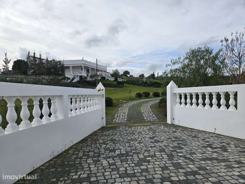Simpática Quintinha inserida em 30000 m2, na Vidigueira - Grande imagem: 5/39