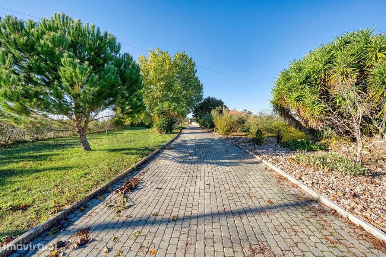 Moradia T5 localizada a apenas 12 minutos (9,5 km) de Santarém - Grande imagem: 3/43