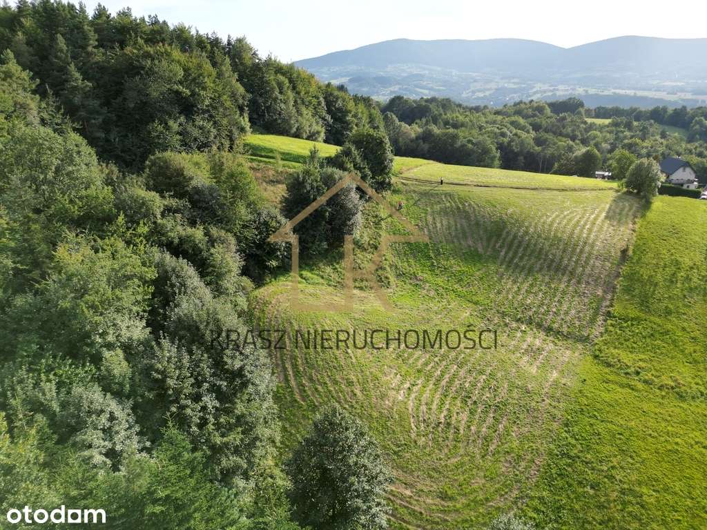 Zielona oaza działka z lasem i pięknym widokiem - Pełny obrazek: 5/5