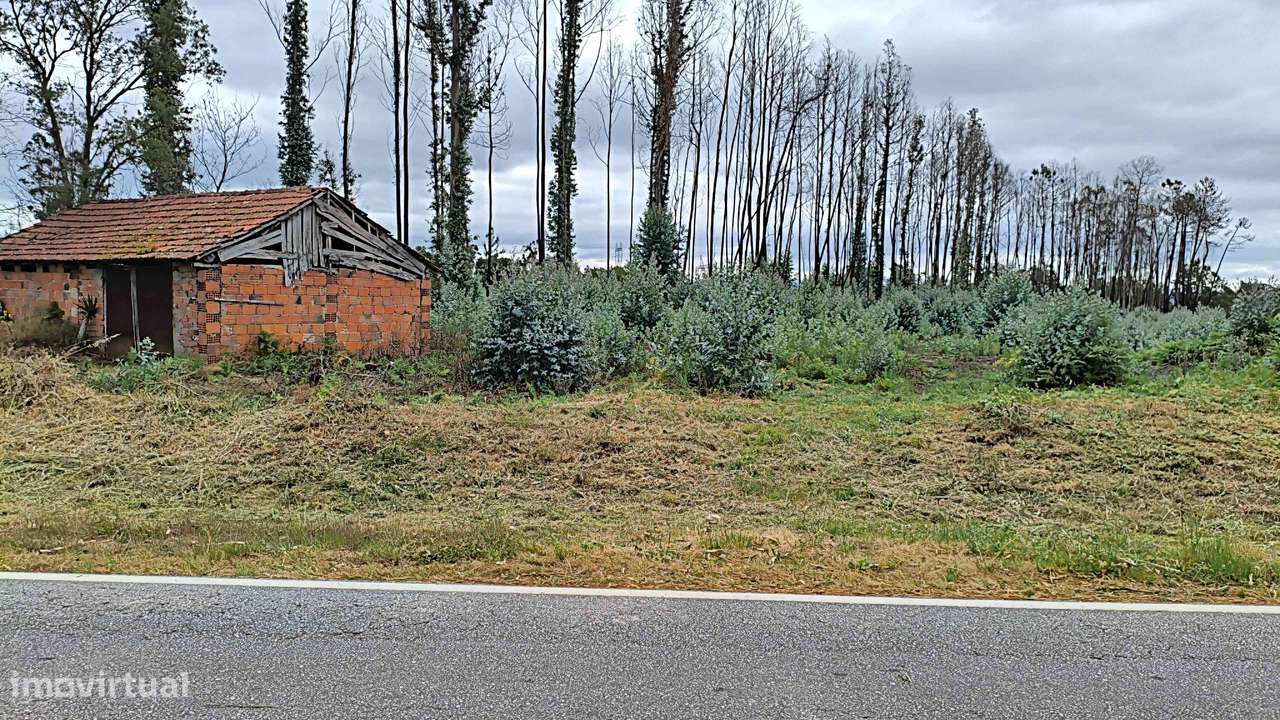 Terreno Edificável com 7100 metros - Grande imagem: 4/4