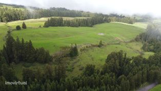 Terreno de Pastagem amplo e plano