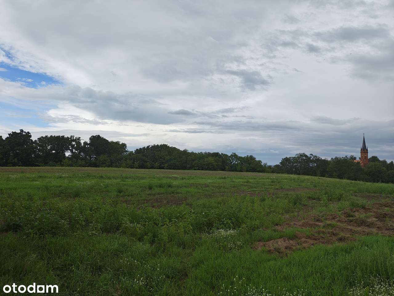 Sprzedam działkę 19900 m² w urokliwej okolicy - możliwość podziału - Pełny obrazek: 5/7