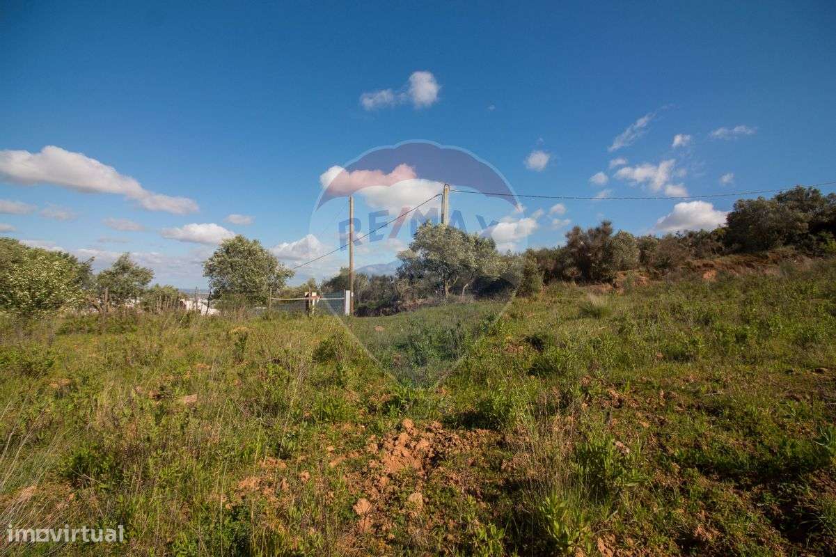 Terreno  para venda - Grande imagem: 4/5