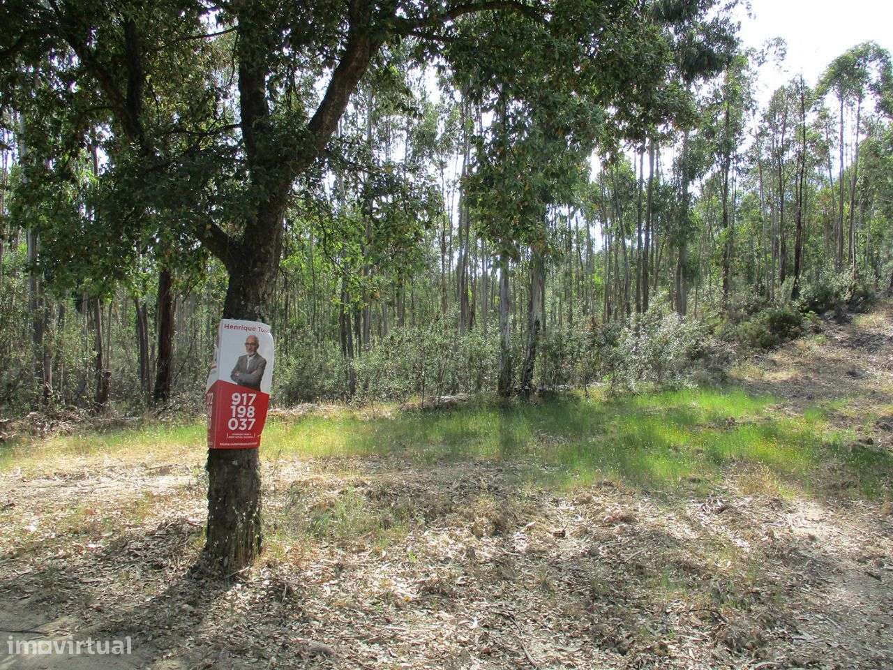 Terreno - Grande imagem: 2/5