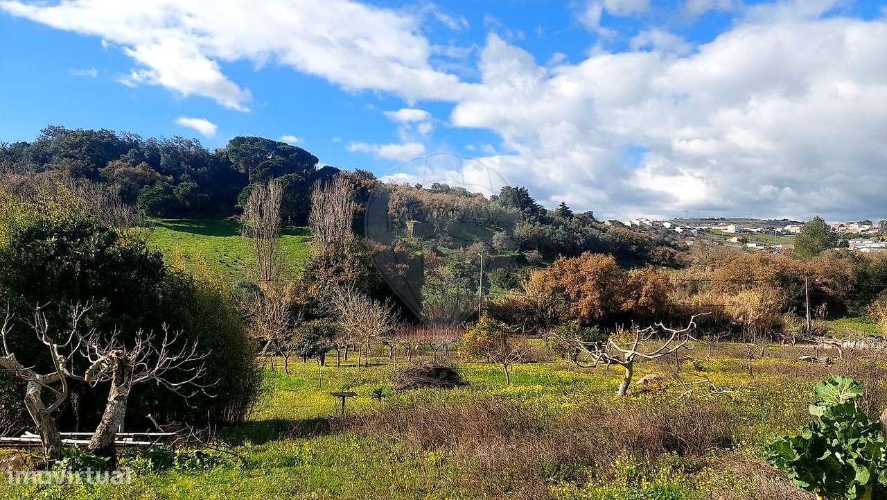 Terreno  para venda-10