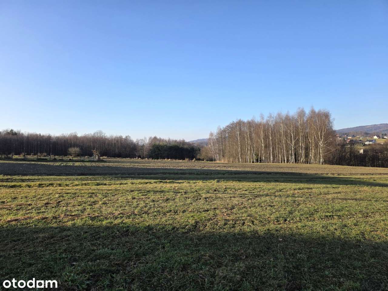 Widokowa działka budowlana 15 arów - Siemiechów, gm. Gromnik - Pełny obrazek: 3/20