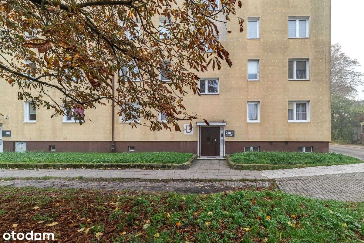 Nowa Cena! Gdańsk Stogi | Mieszkanie 2-pok. - Pełny obrazek: 3/17