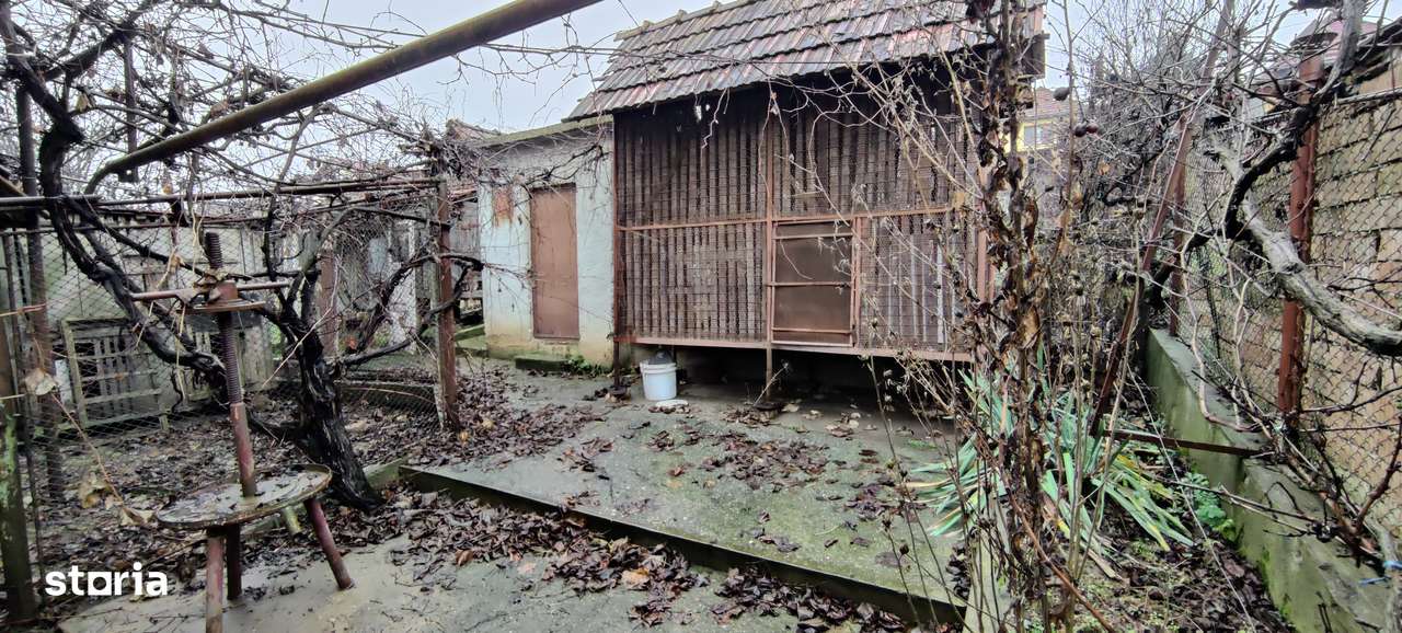 Casa 5 camere / Avram Iancu-12