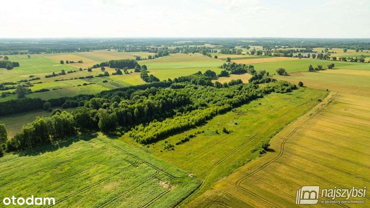 Bagna-działka rolna pod Maszewem - Pełny obrazek: 5/10