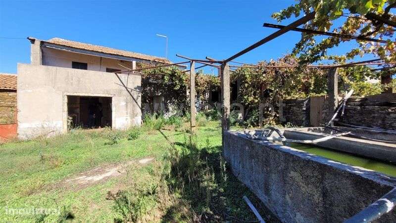 Quinta / Fundão, Enxames - Grande imagem: 1/20