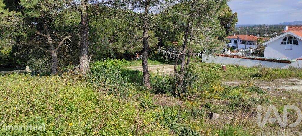 Terreno em Sesimbra (Castelo) de 2190,00 m2 - Grande imagem: 2/20