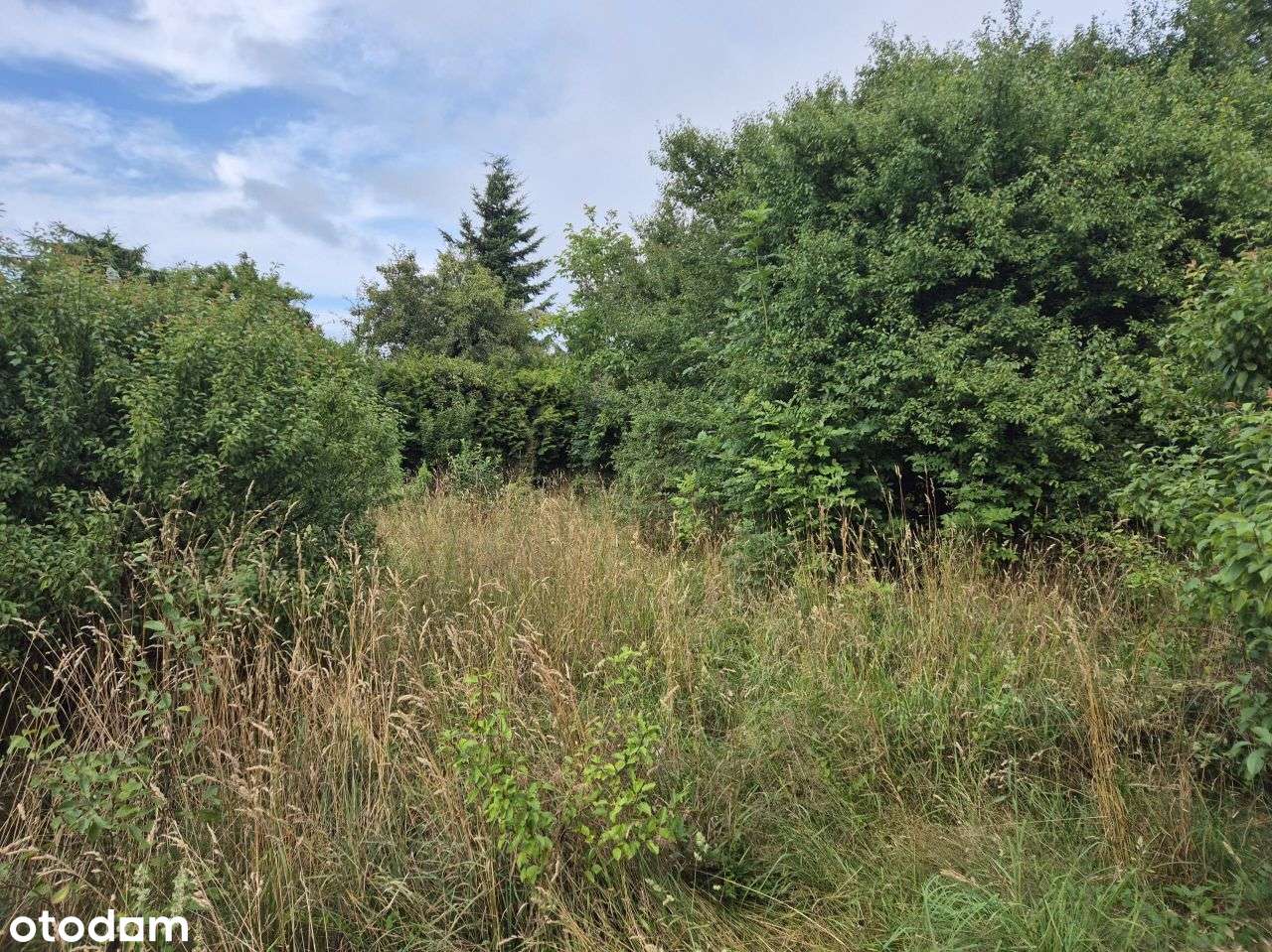 Działka, 719 m², Wejherowo-13