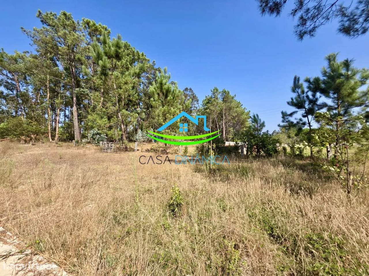 Terreno com 8.369 m² e possibilidade de construção – Arazede, Mon-47