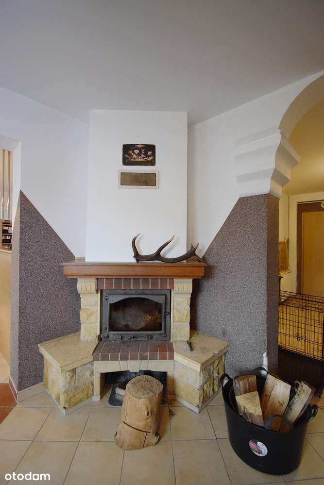 Duży dom na dużej działce - Stare Siołkowice - Pełny obrazek: 5/11