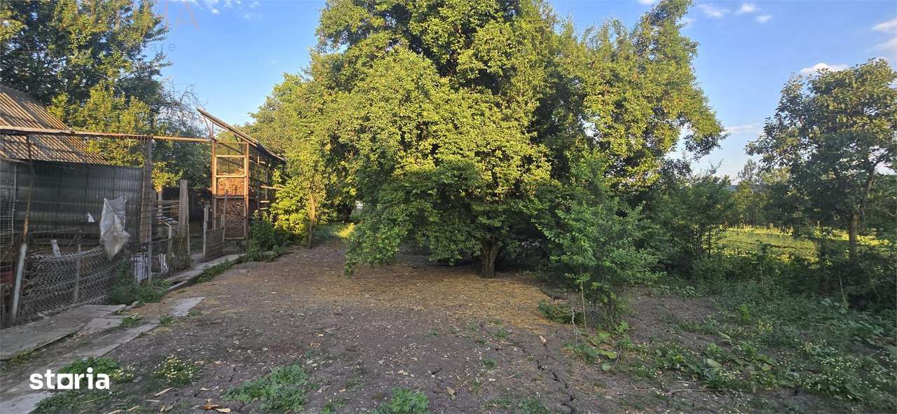 De vanzare apartament la casa in Chintelnic - Imagine principală: 4/12