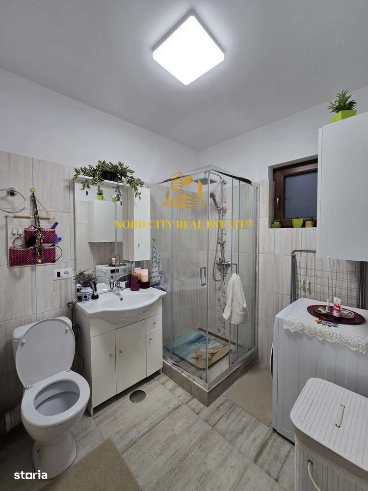 De vanare - Casa Dragomiresti Vale-17