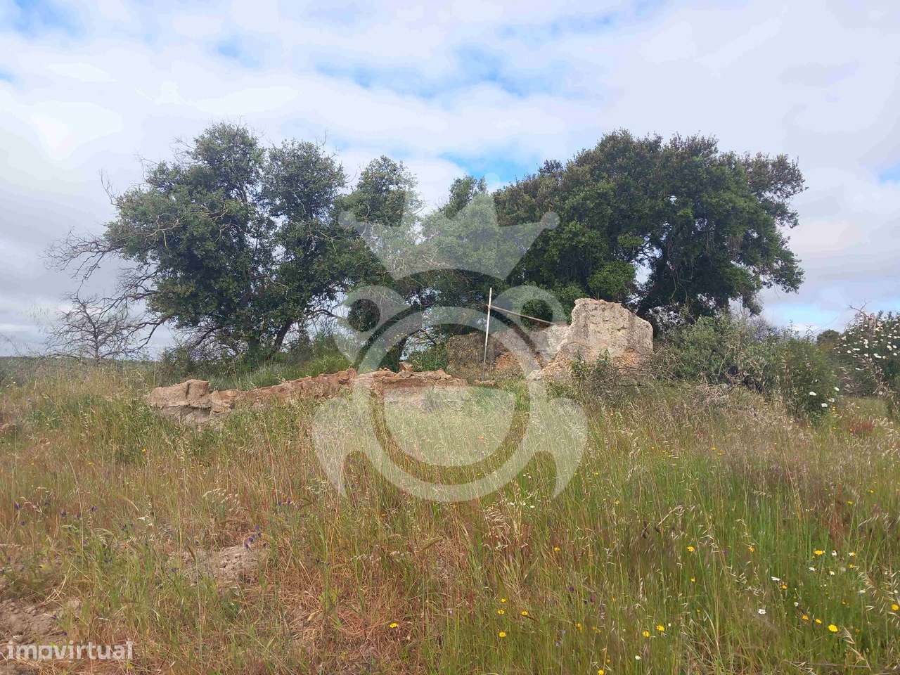 Terreno Rústico com ruína - 3Ha-6