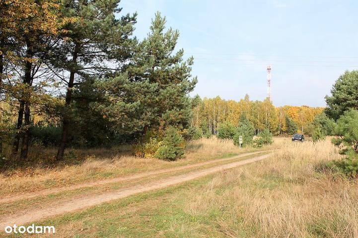 Fajnie położona działka siedliskowa !