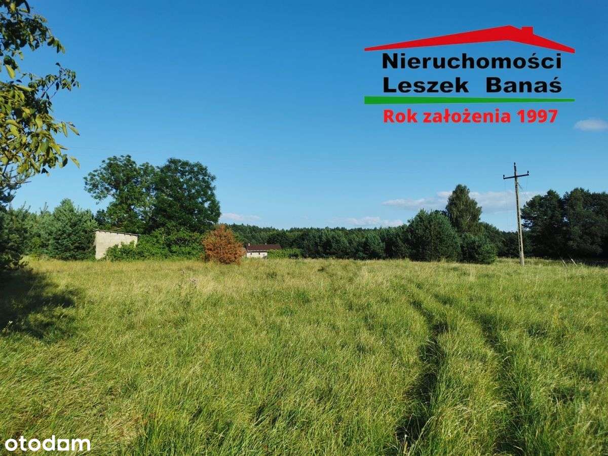 Działka rolna granicząca z lasem-9