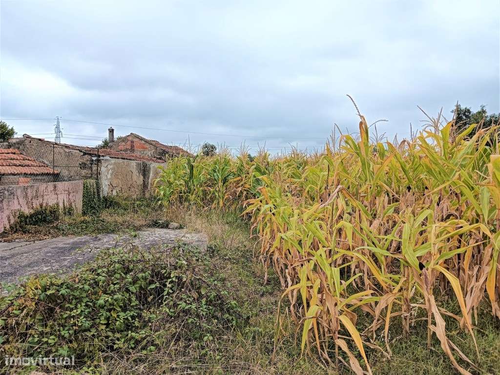 Terreno para construção de moradia - Estarreja - Grande imagem: 4/7