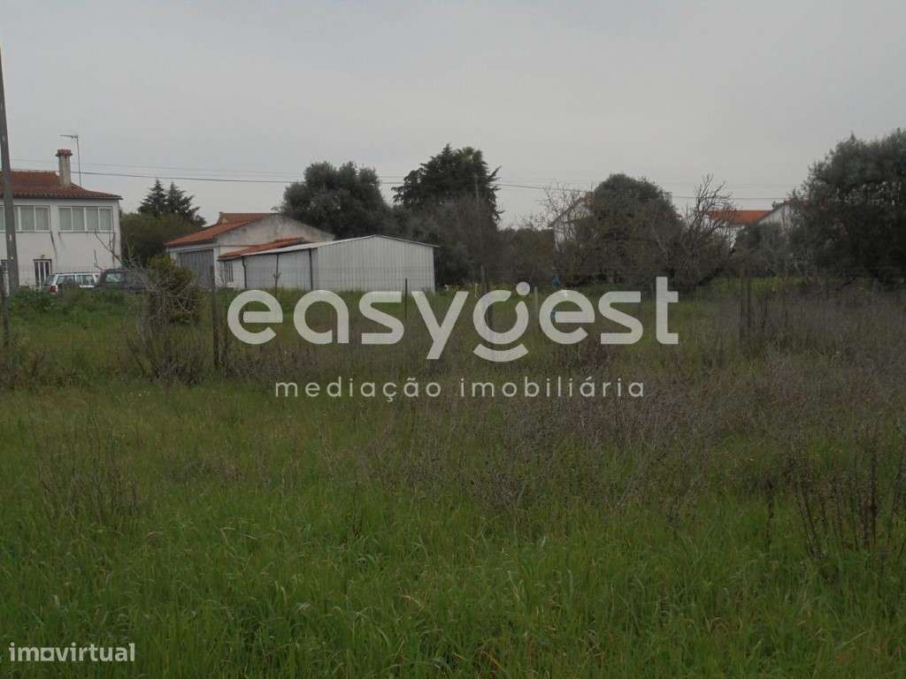 Terreno com 3060 m2 de área muito próximo da Cidade de Tomar - Grande imagem: 2/11