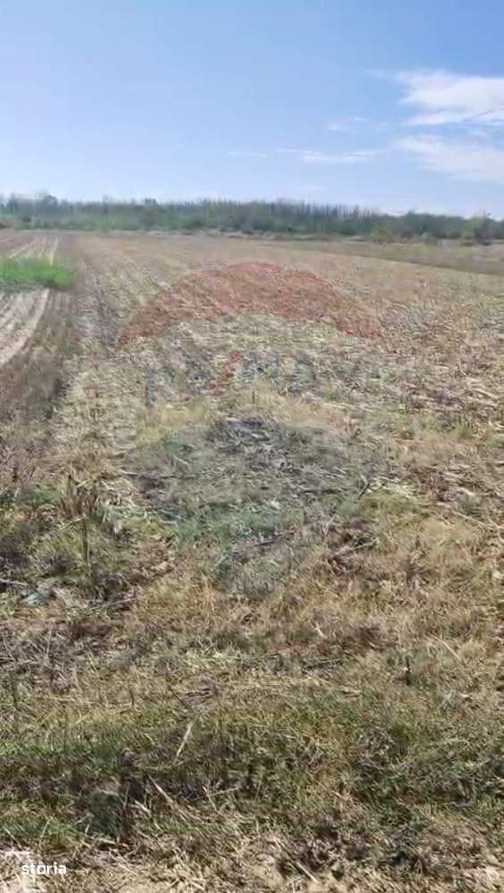 Teren 2,900mp Sat Tantava Strada Tufan-1