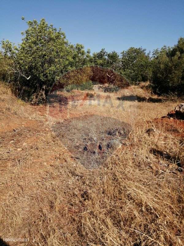 Terreno para venda - Grande imagem: 2/5