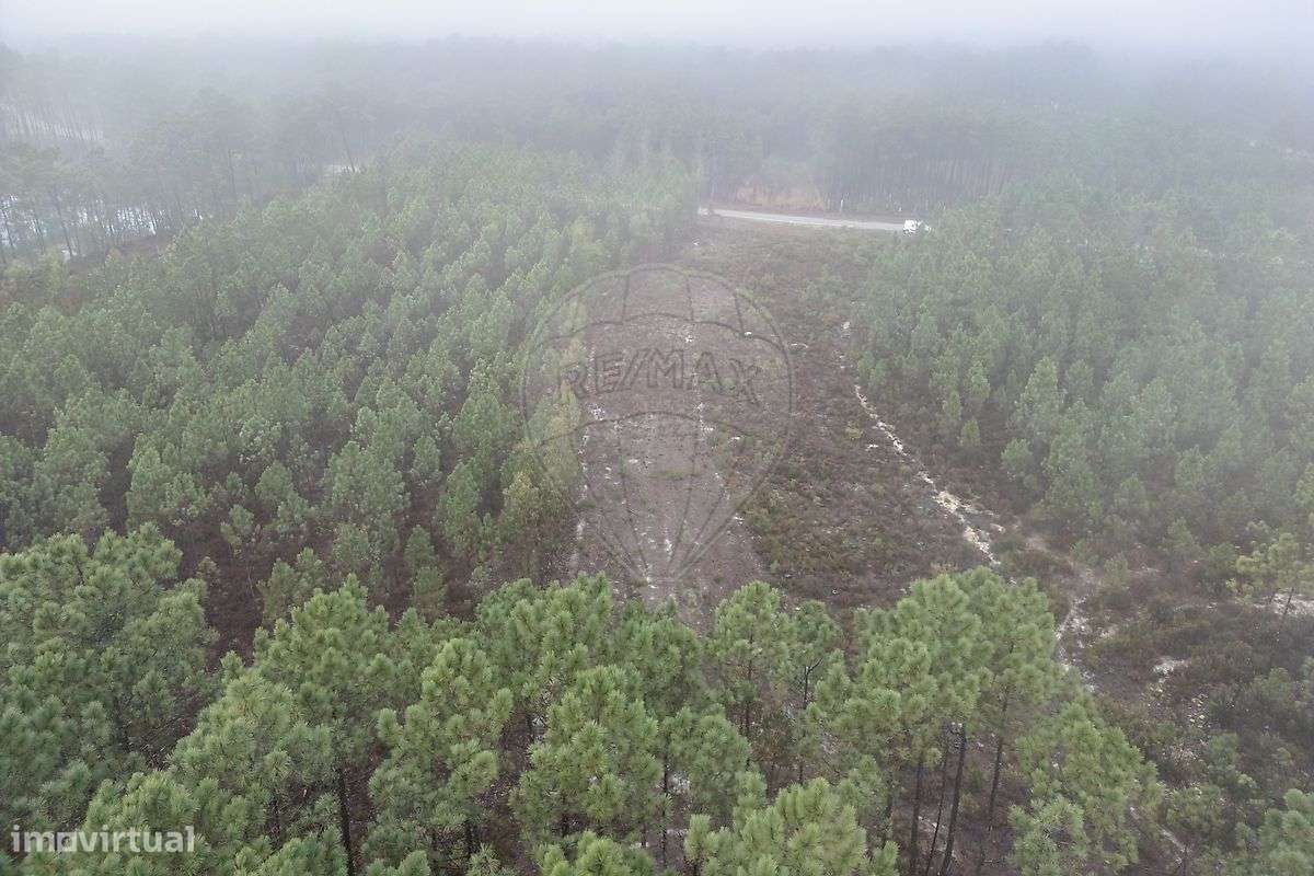 Terreno  para venda - Grande imagem: 5/11