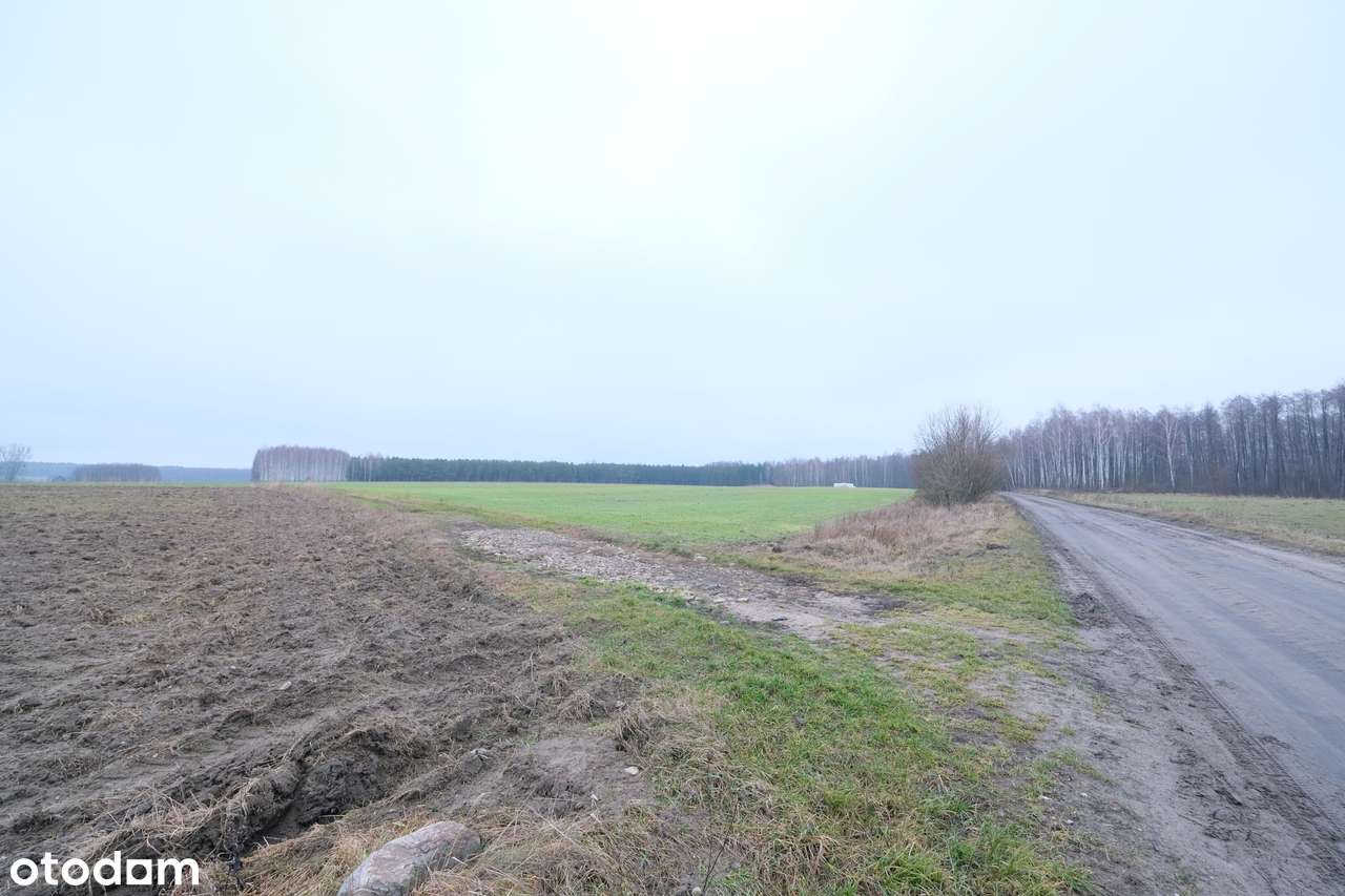 *5,4 ha przy lesie - podzielone na działki - inwestycja*-2