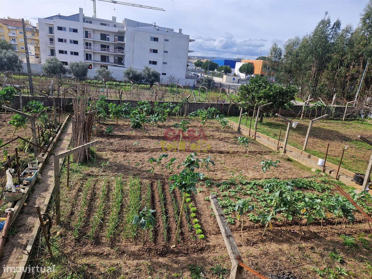 Quintinha T6 Venda em Nossa Senhora de Fátima,Entroncamento-5