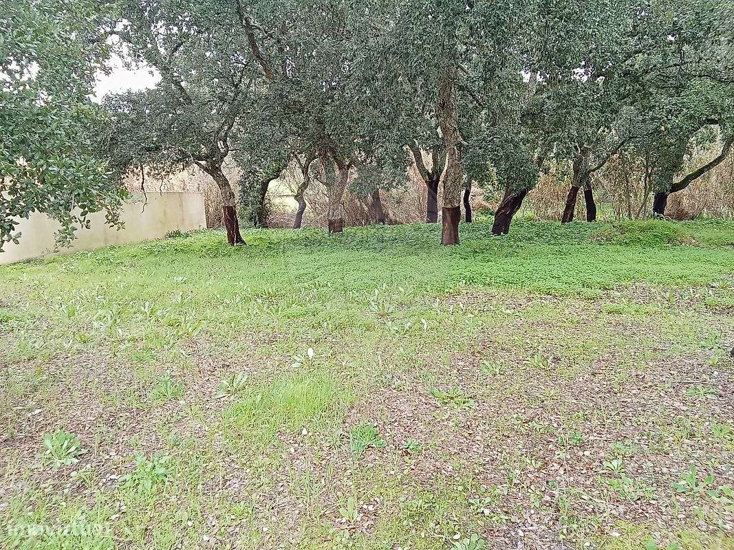 Terreno  para venda - Grande imagem: 5/9