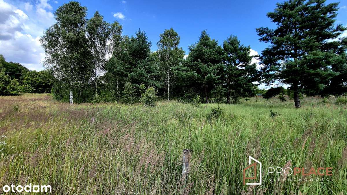 Super Oferta Dla Inwestora-5