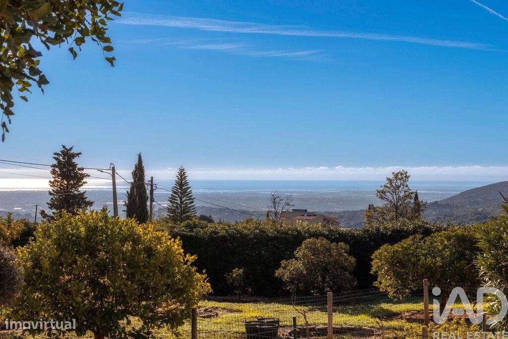 Moradia isolada T3 em Santa Bárbara de Nexe de 371,72 m2 - Grande imagem: 5/40