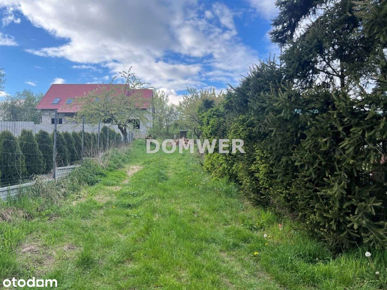 Dom w Drezdenku - Pełny obrazek: 4/9