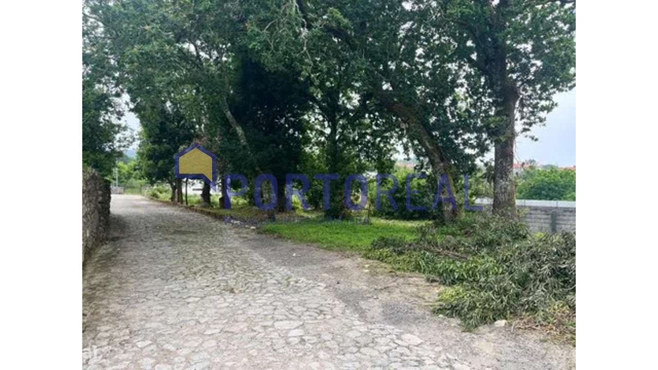 Terreno à Praia Moledo - Caminha-5