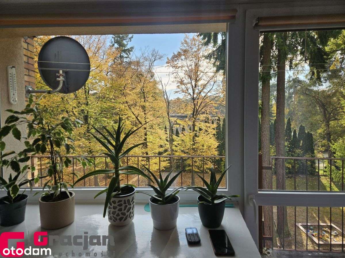 Rezerwacja - Pełny obrazek: 4/17