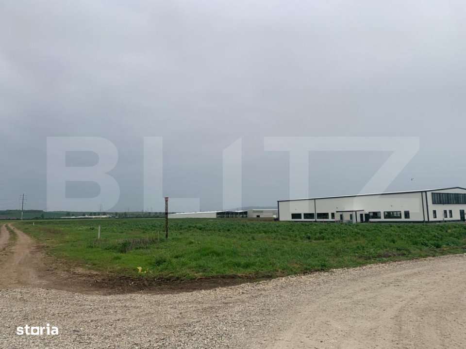 Teren intravilan, 6759 cu PUZ pentru hala, zona Alba-Sebes langa A1 - Imagine principală: 3/3