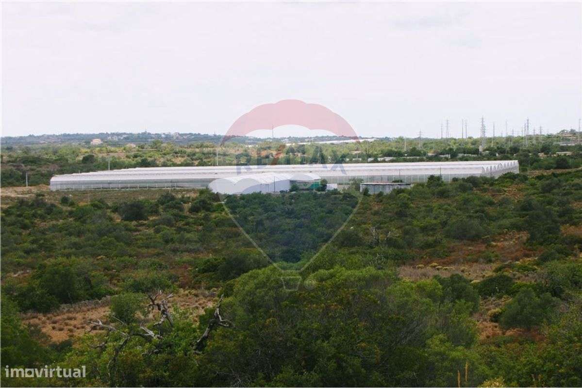 Terreno  para venda - Grande imagem: 4/6