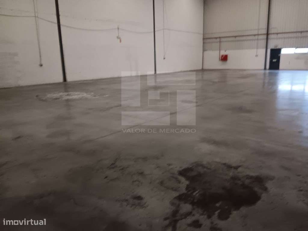 ARMAZÉM PARA ARRENDAMENTO - B 08 - Grande imagem: 4/22