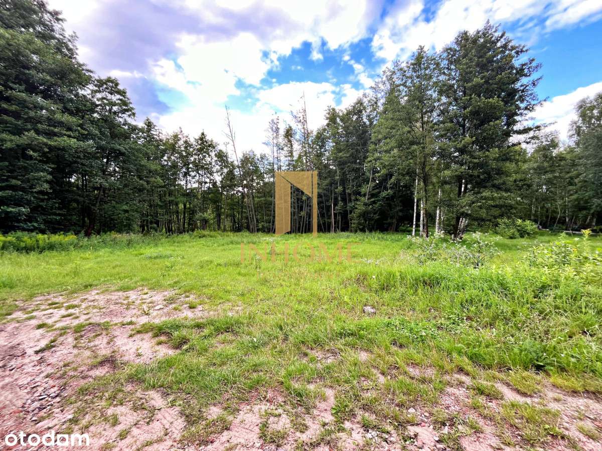 Działka z lasem I Biały Bór I Blisko jeziora! - Pełny obrazek: 4/6