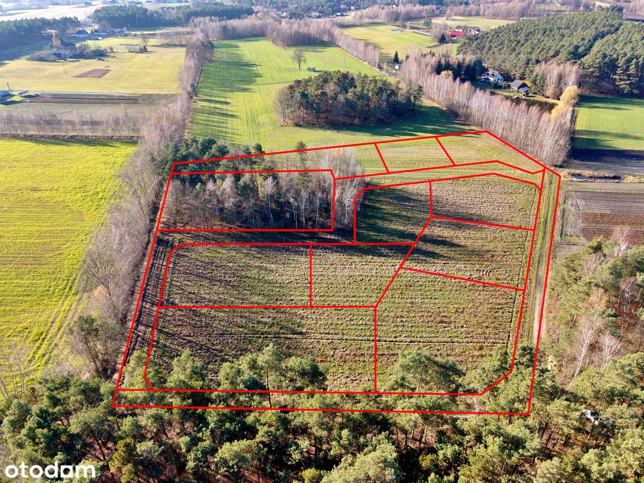 Działki budowlane Nowa Plewnia, gm. Ceków-Kolonia - Pełny obrazek: 2/9