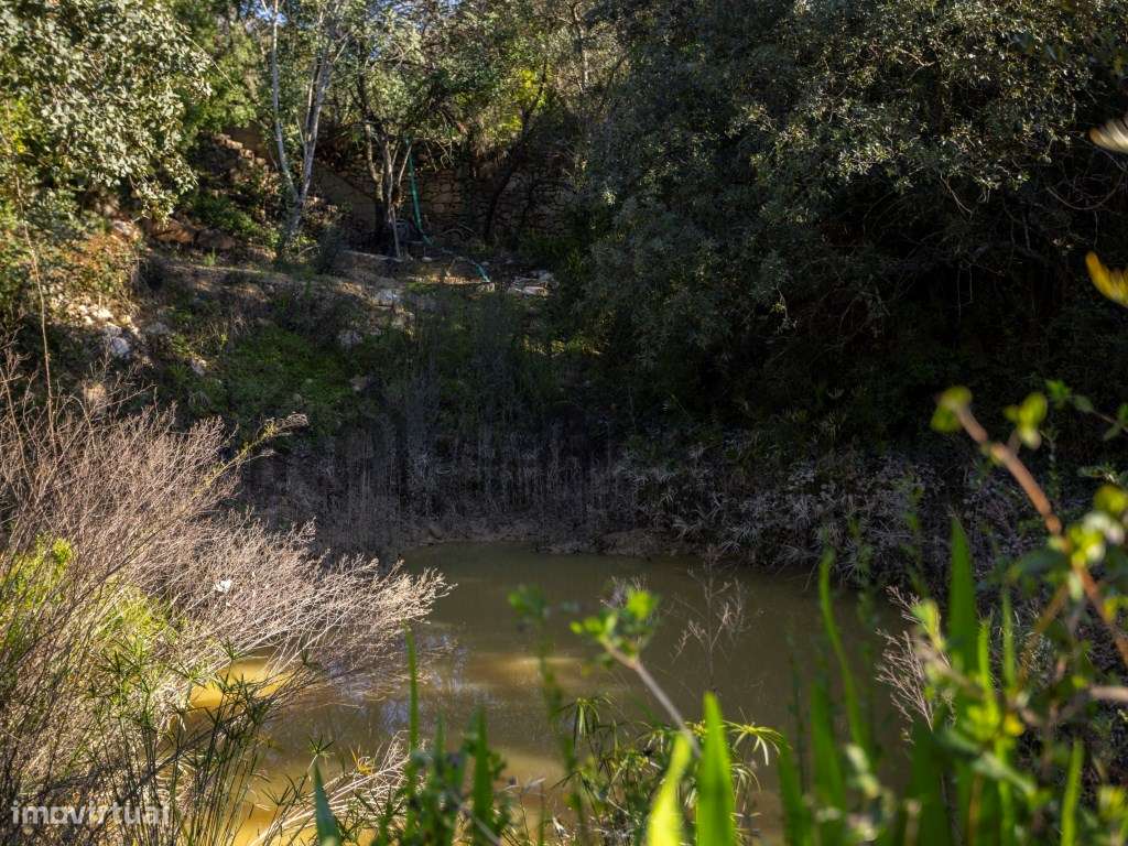 Propriedade Única em Zona Privilegiada com Vista Mar e Piscina - Loulé-5