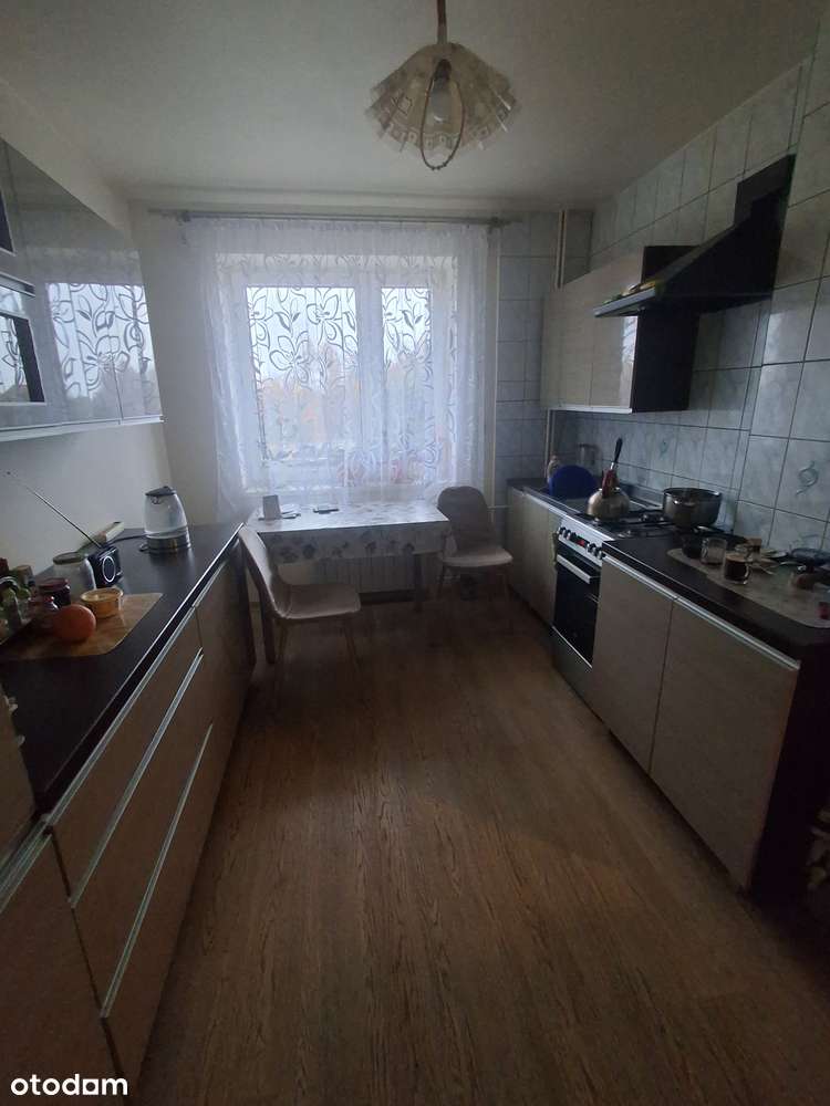 Do sprzedania dom 100m2 na działce 7300m2 w Mniowie-8