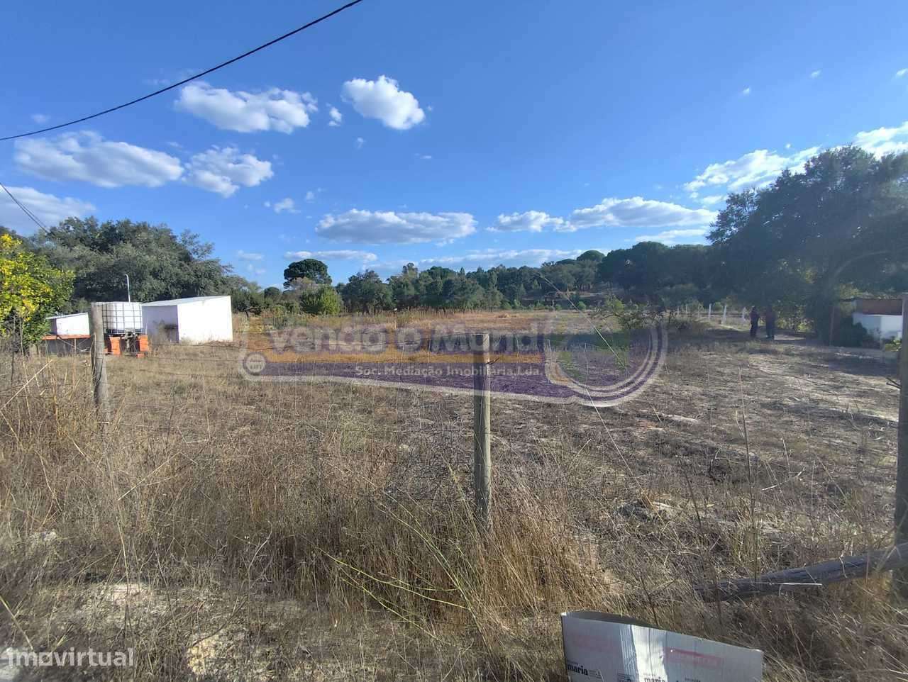 Terreno em São José da Lamarosa - Coruche (CRCH175) - Grande imagem: 4/6