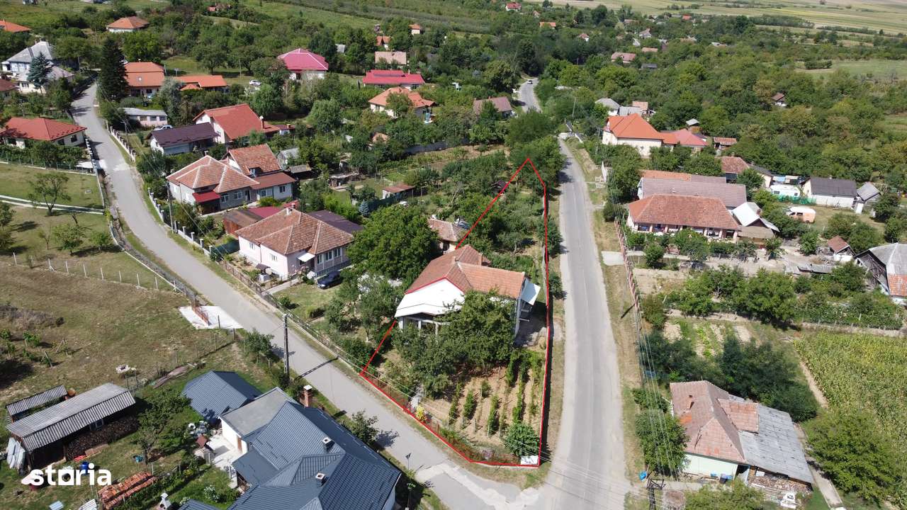 Casă spațioasă și primitoare în Viile Satu Mare – zona Dealu Mare-0